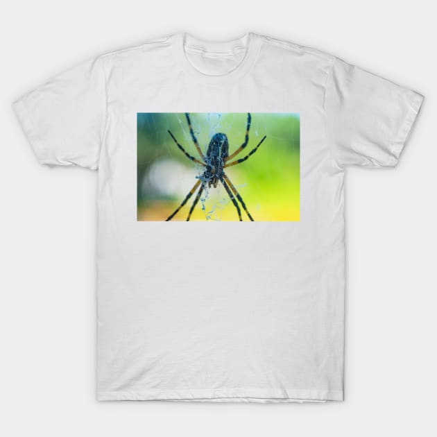 Spider T-Shirt by KensLensDesigns